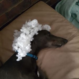 Meet your Posher, Kerri